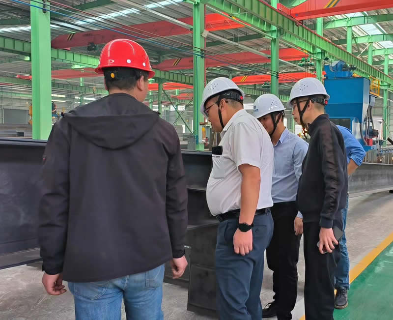 柳工集团欧维姆咸宁高强钢绞线生产项目建设加速度